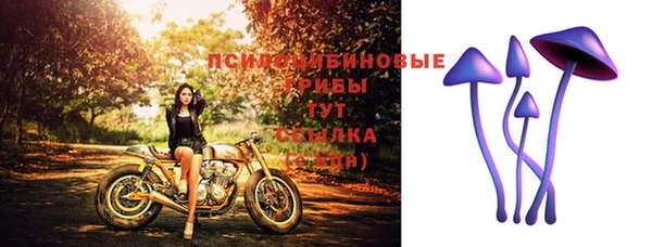 Альфа ПВП Магас
