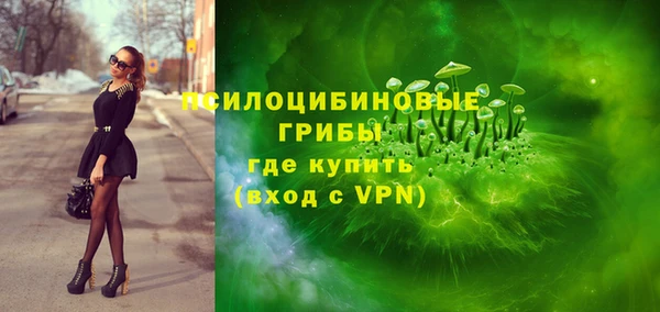 Альфа ПВП Магас