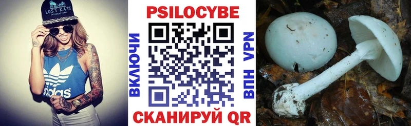 Галлюциногенные грибы GOLDEN TEACHER  Купить закладки  Ижевск